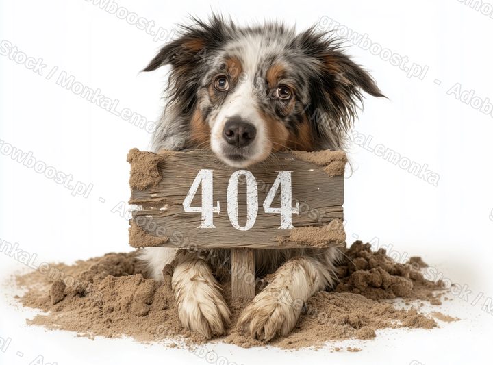 An Australian Shepherd lying behind a weathered wooden sign that reads 404, surrounded by dug-up sand, on a white background.
